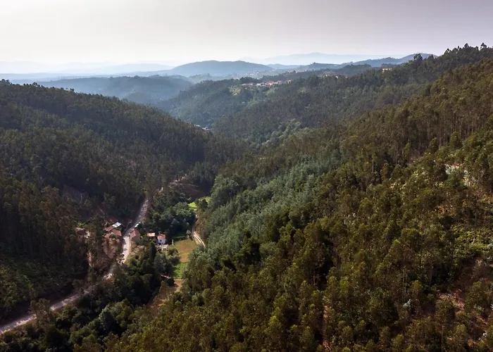 Encosta Da Serra Do Bussaco Quintinha Da Azenha Hébergement de vacances